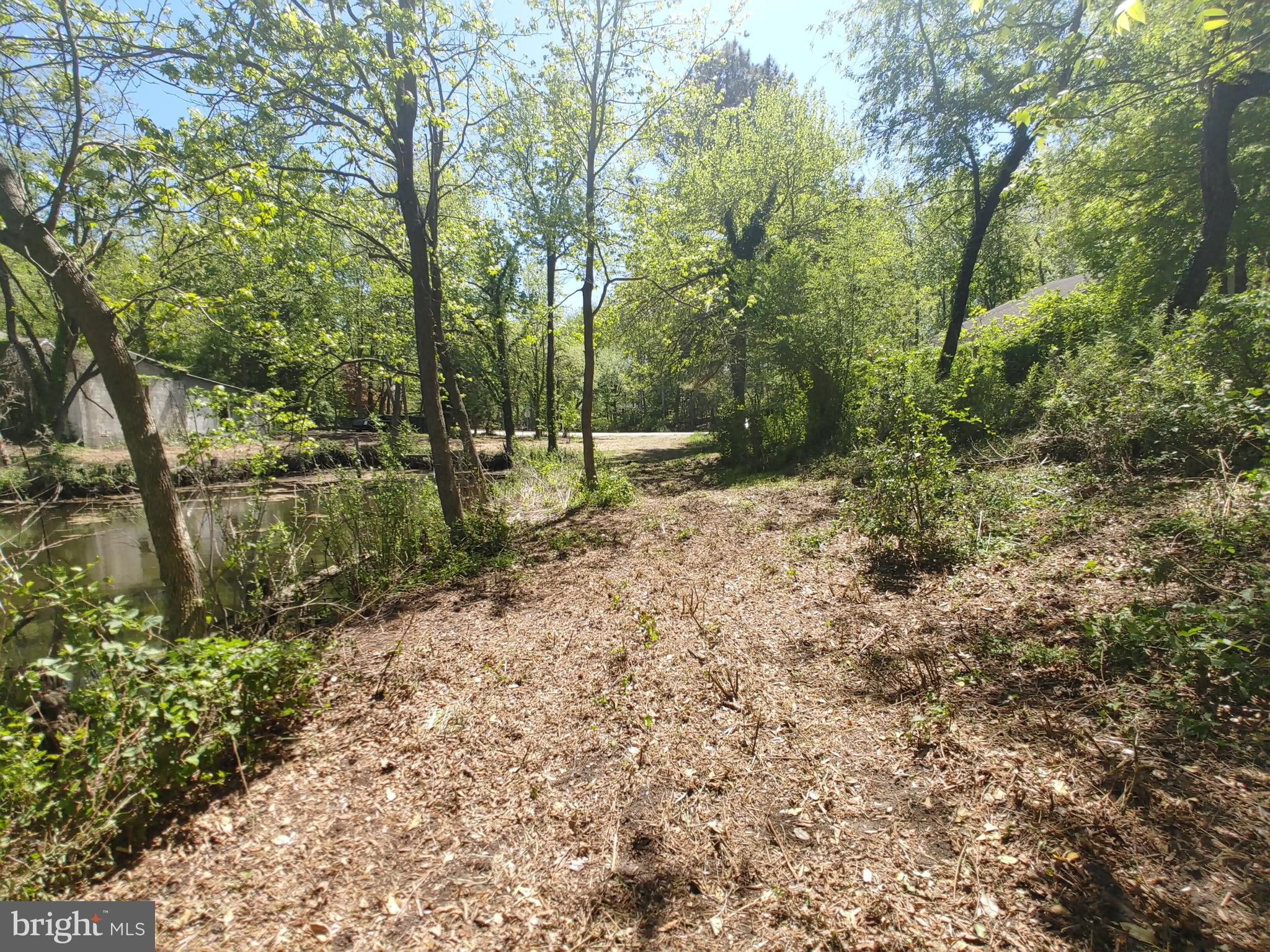 4180 Shoreham Beach Road Edgewater, MD 21037 - Photo 16 of 26 a backyard of a house with lots of green space