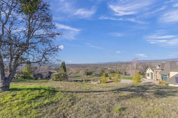 a view of a town with large trees