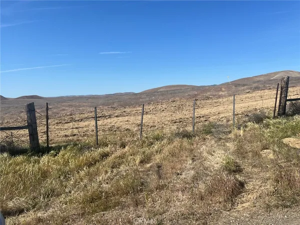 a view of an ocean from a yard