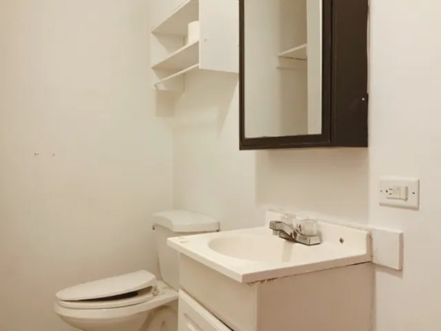 $169,900 | 457 South Des Plaines Street, Joliet, IL 60436