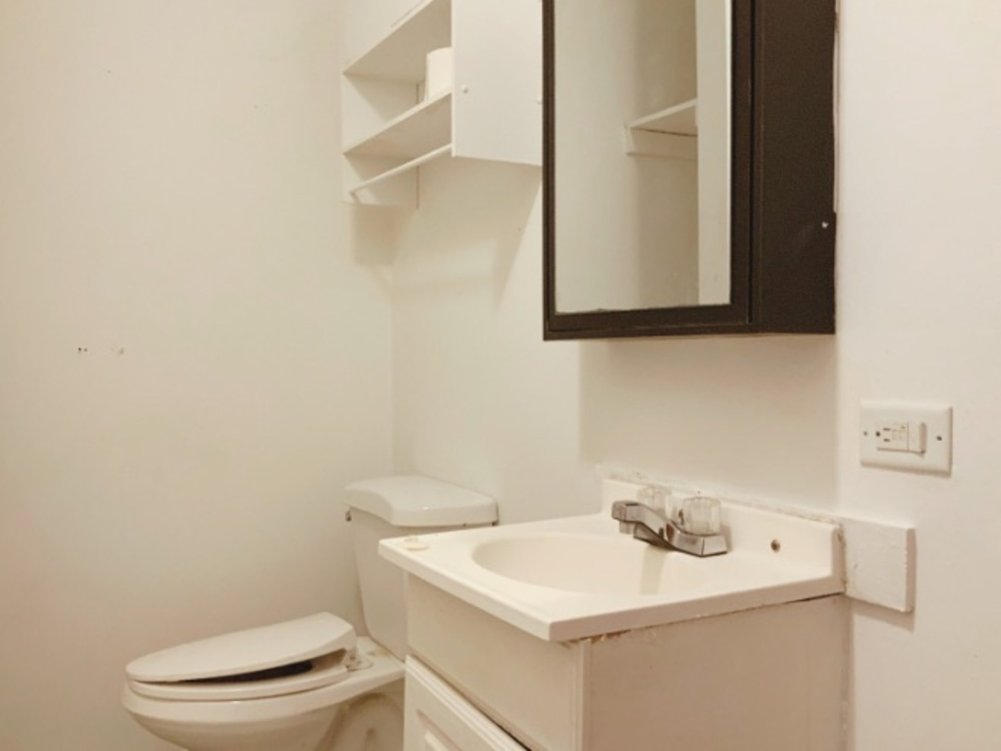 457 South Des Plaines Street Joliet, IL 60436 - Photo 6 of 16