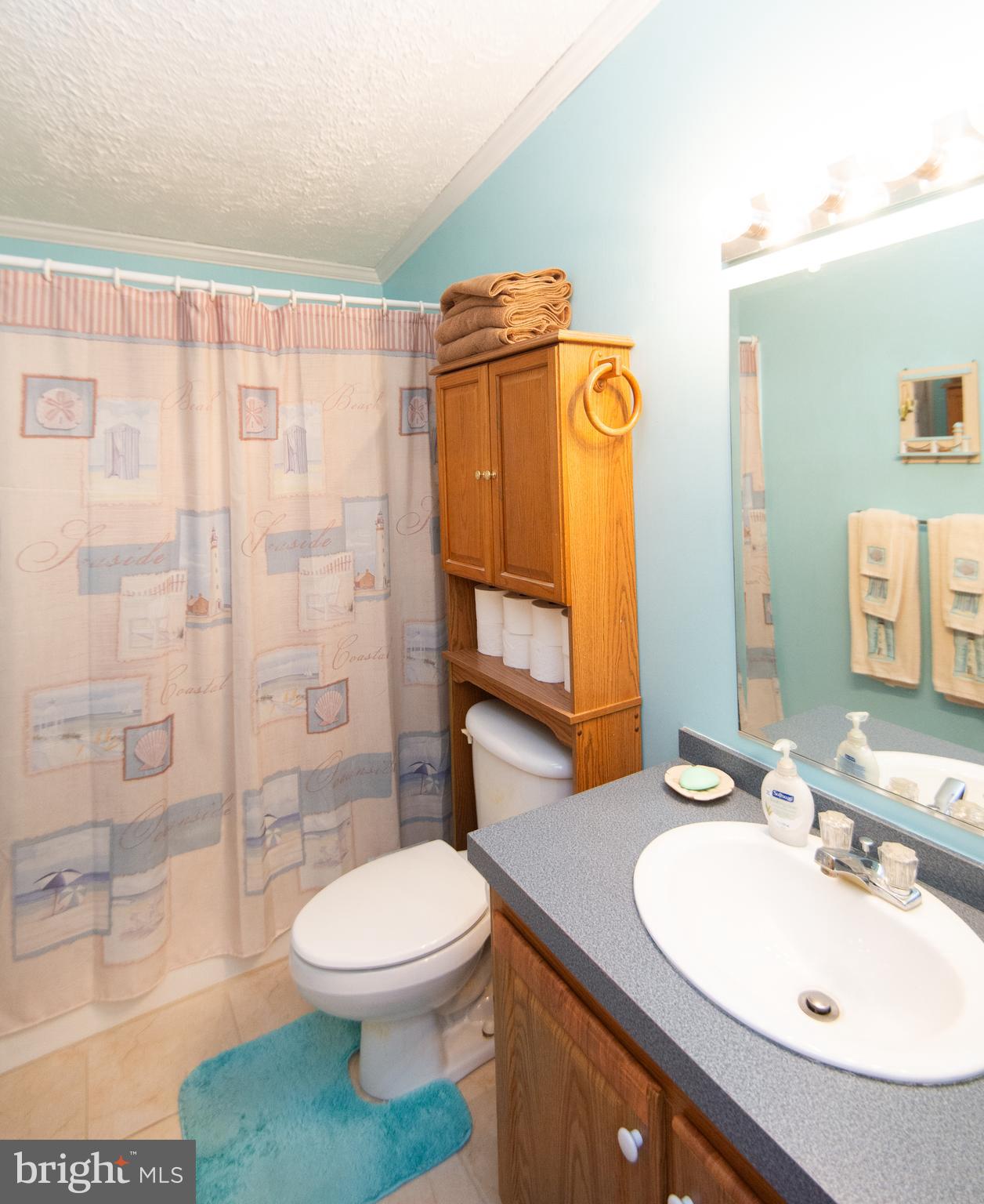 5622 Ross Neck Road Cambridge, MD 21613 - Photo 27 of 42 a bathroom with a sink a toilet and shower