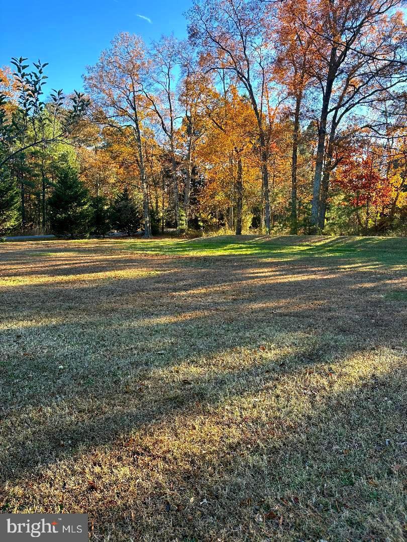 5622 Ross Neck Road Cambridge, MD 21613 - Photo 35 of 42 a view of field with large trees