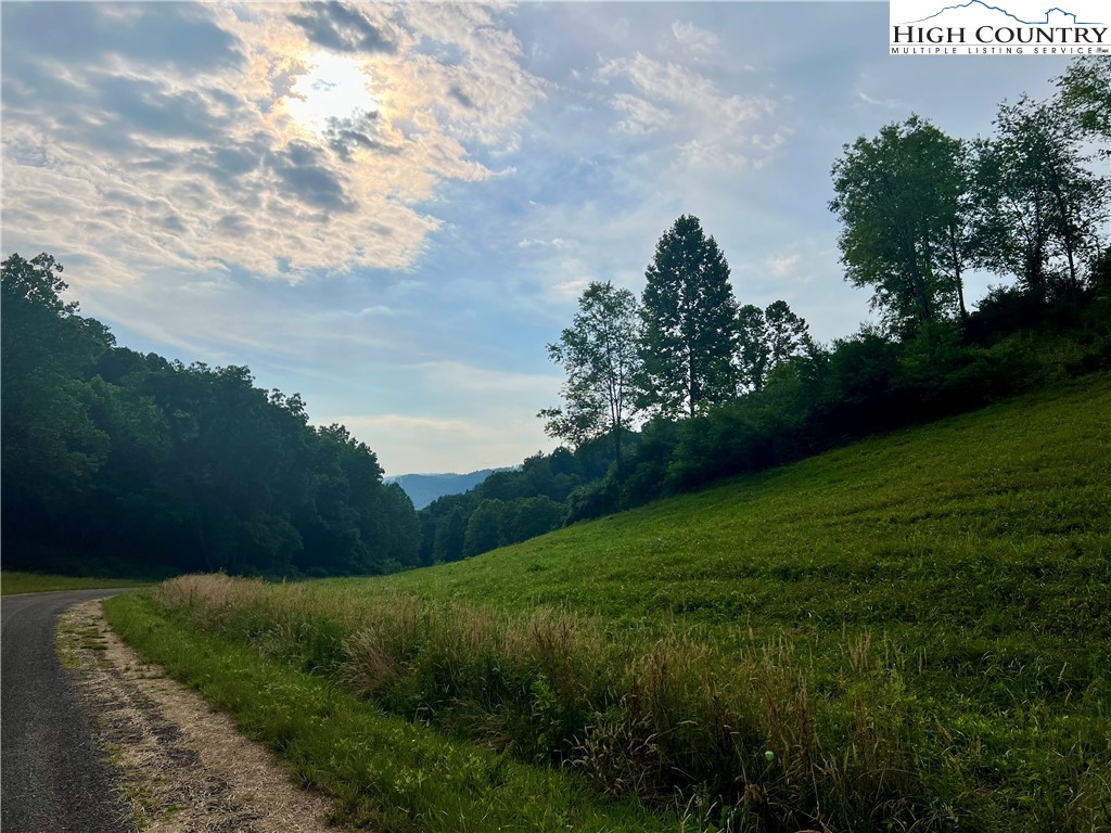 Silver Oak Trail Butler, TN 37640 - Photo 11 of 23