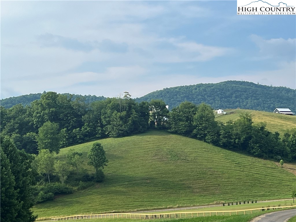 Silver Oak Trail Butler, TN 37640 - Photo 12 of 23