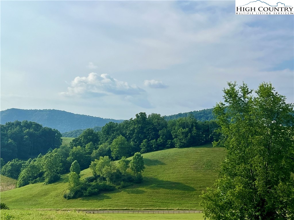 Silver Oak Trail Butler, TN 37640 - Photo 13 of 23