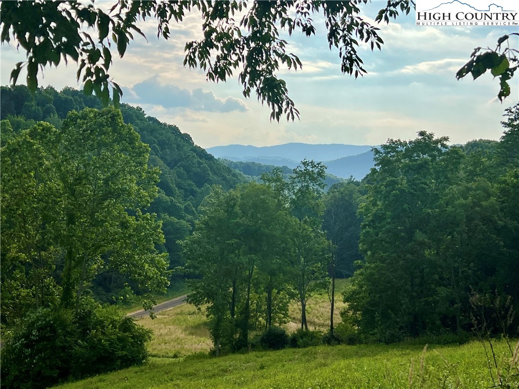 Silver Oak Trail Butler, TN 37640 - Photo 2 of 23