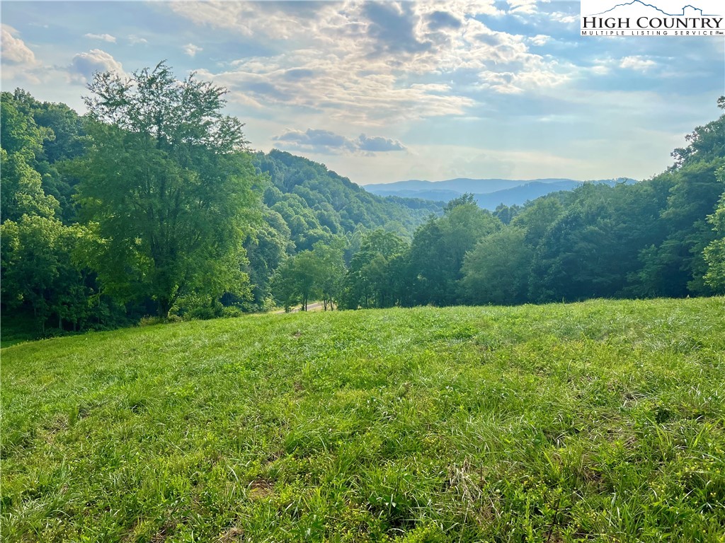 Silver Oak Trail Butler, TN 37640 - Photo 3 of 23