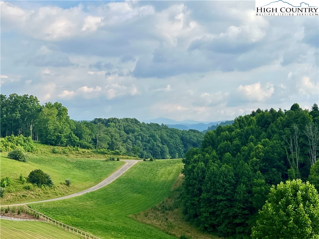 Silver Oak Trail Butler, TN 37640 - Photo 4 of 23