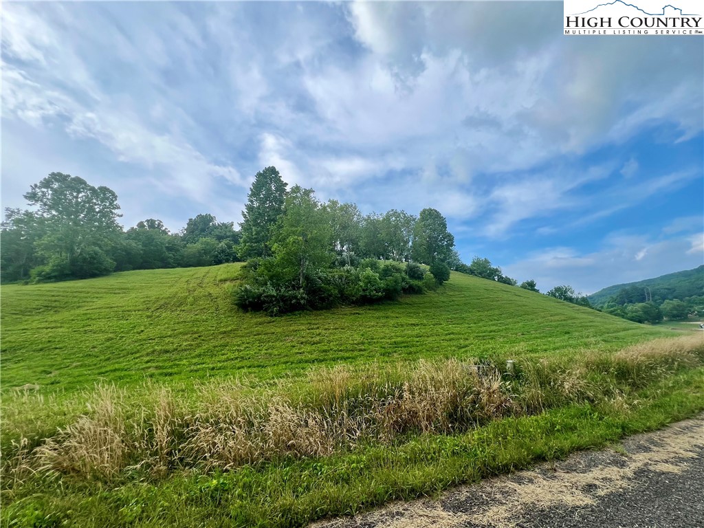 Silver Oak Trail Butler, TN 37640 - Photo 5 of 23