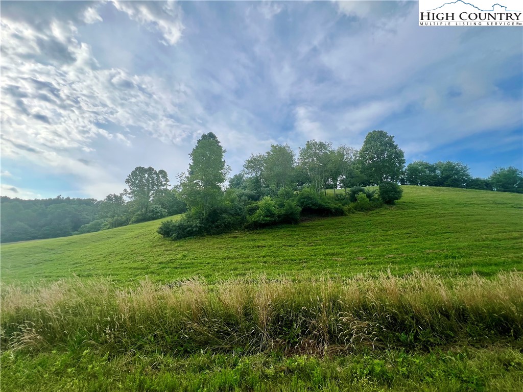 Silver Oak Trail Butler, TN 37640 - Photo 6 of 23