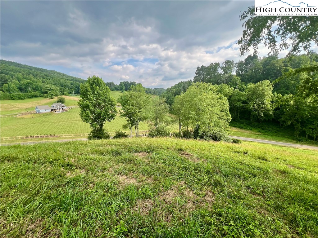 Silver Oak Trail Butler, TN 37640 - Photo 9 of 23