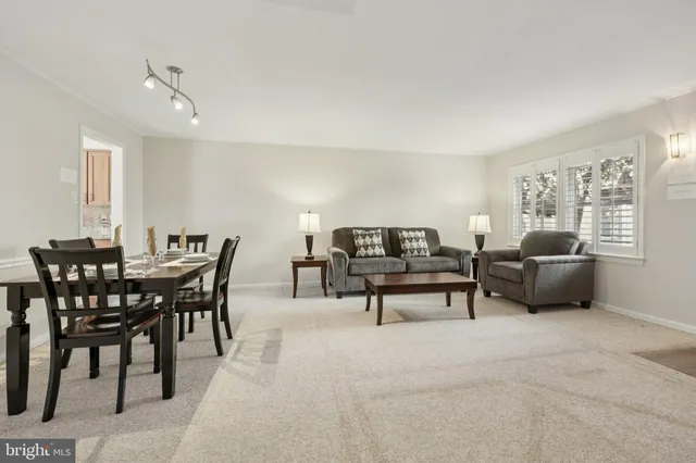 a living room with furniture a rug potted plant and a window