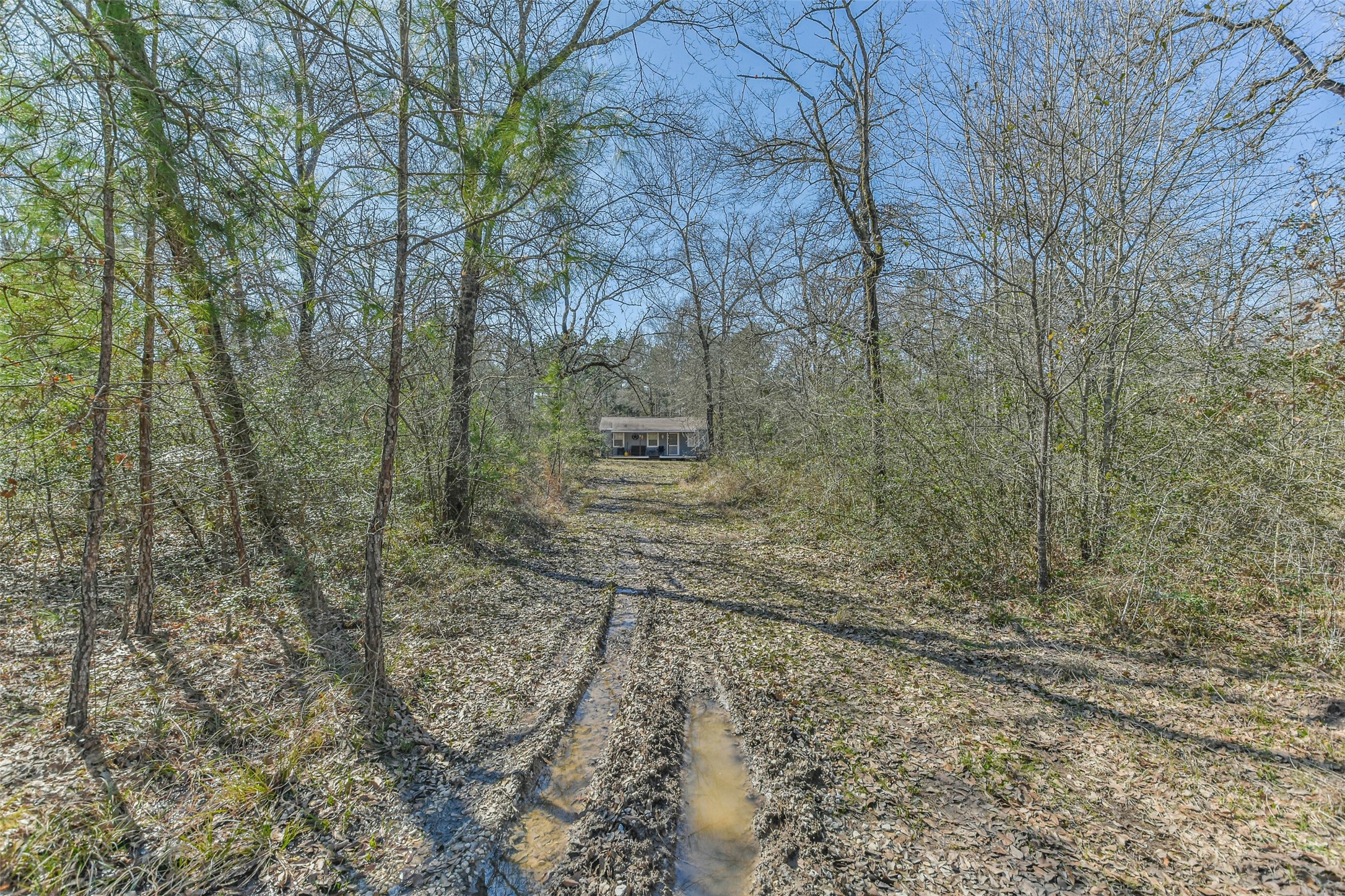 35 Old Sign Road Midway, TX 75852 - Photo 15 of 44