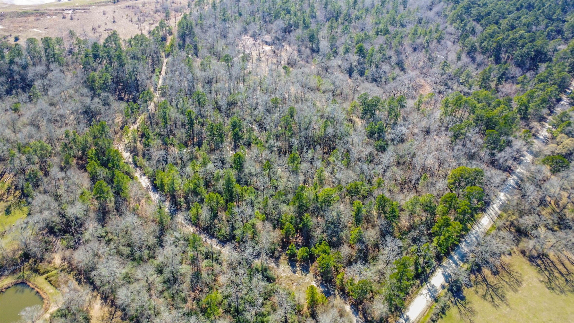 35 Old Sign Road Midway, TX 75852 - Photo 16 of 44