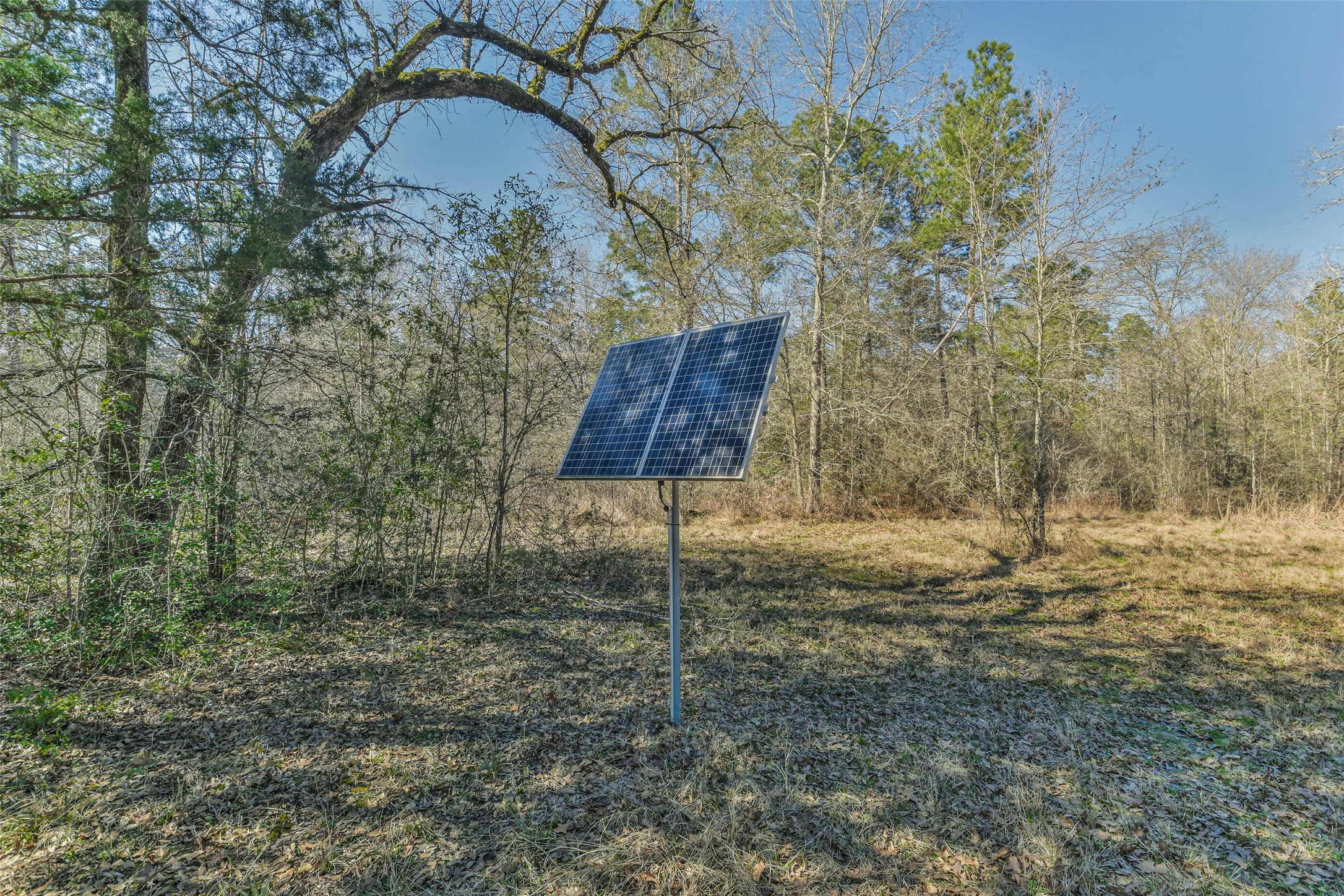 35 Old Sign Road Midway, TX 75852 - Photo 19 of 44
