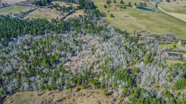 $400,000 | 35 Old Sign Road, Midway, TX 75852