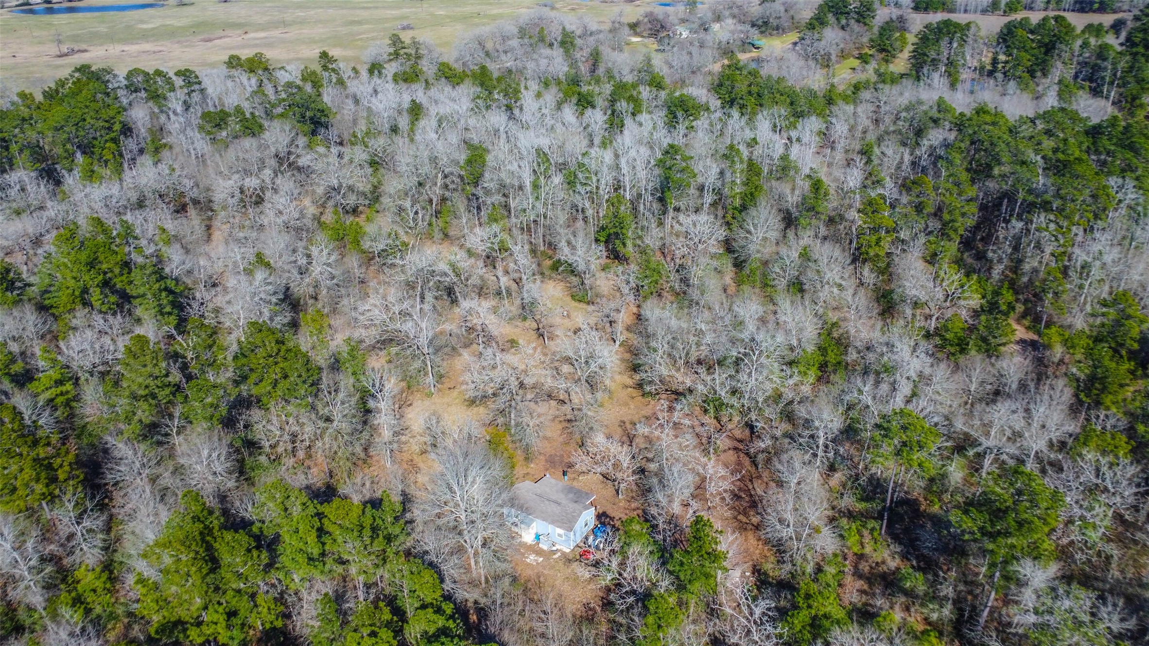 35 Old Sign Road Midway, TX 75852 - Photo 31 of 44