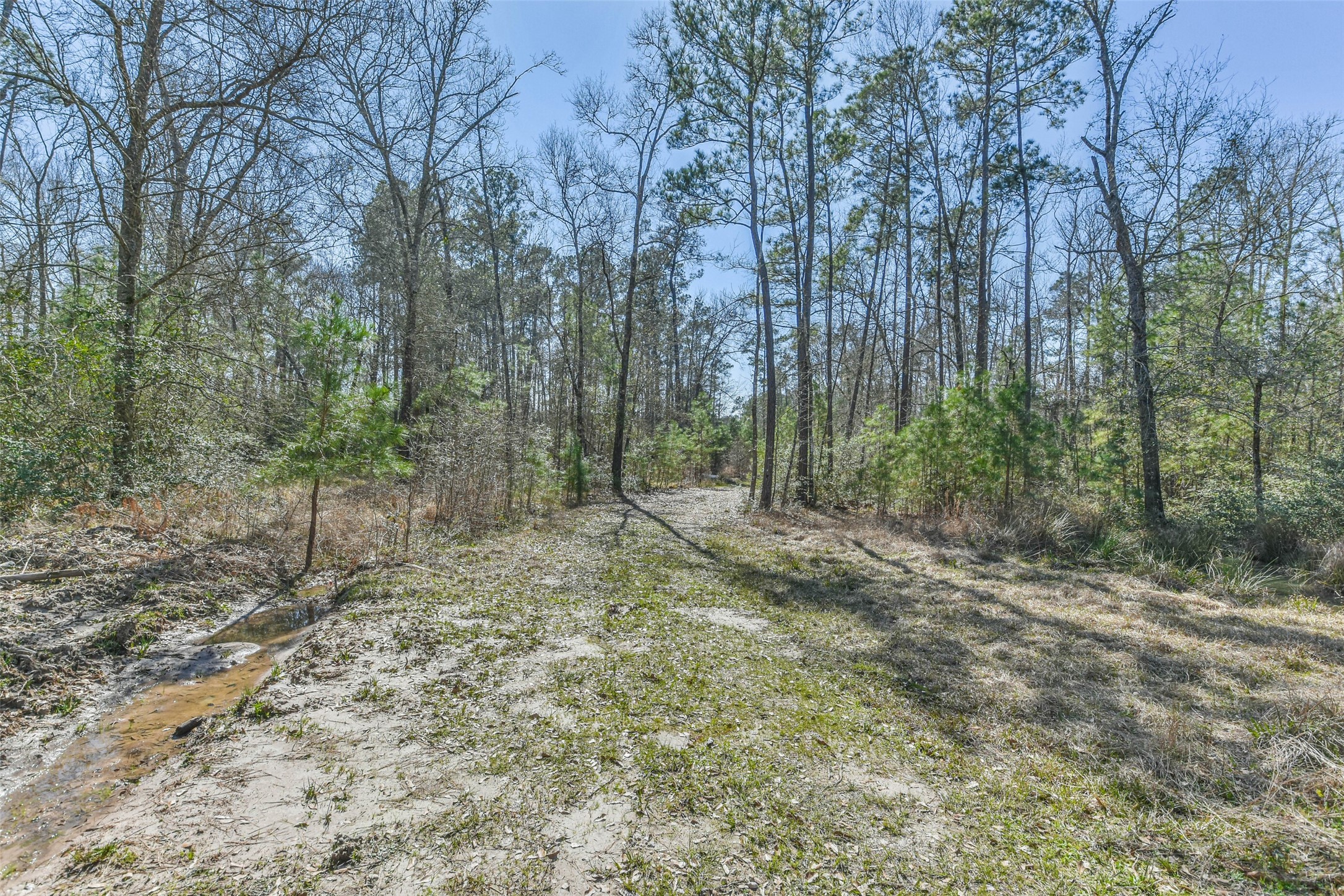 35 Old Sign Road Midway, TX 75852 - Photo 32 of 44