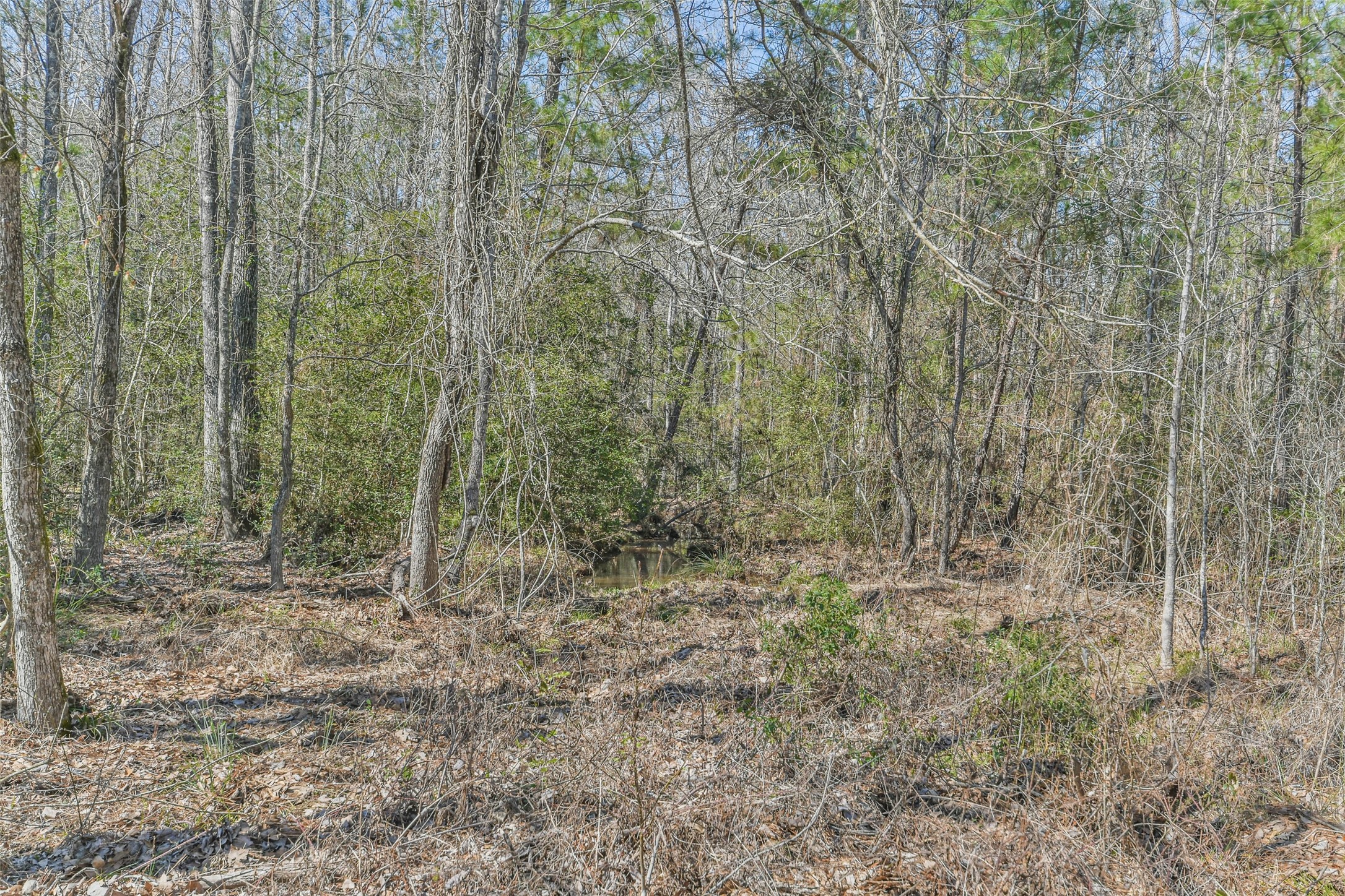 35 Old Sign Road Midway, TX 75852 - Photo 36 of 44