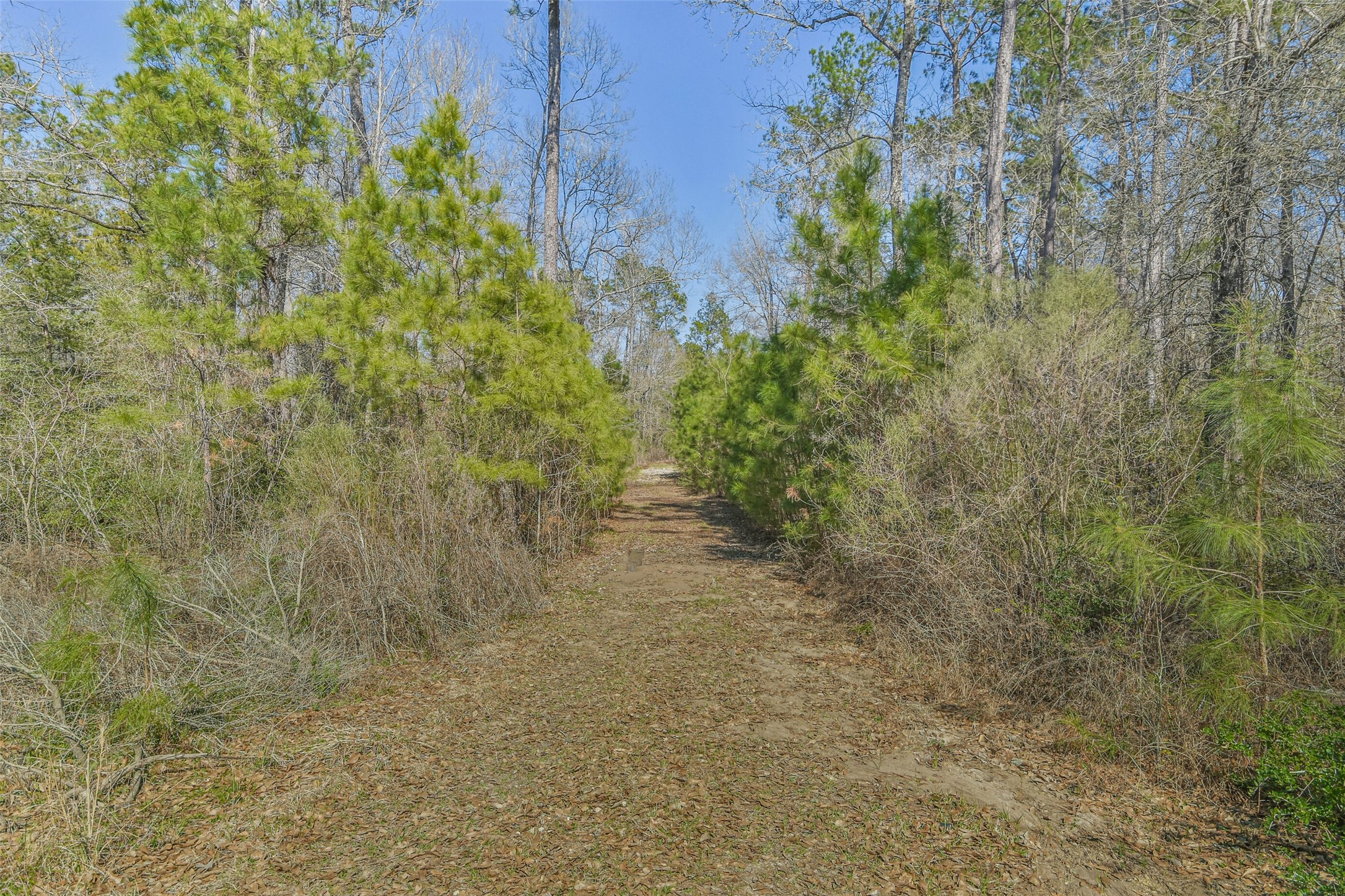 35 Old Sign Road Midway, TX 75852 - Photo 37 of 44