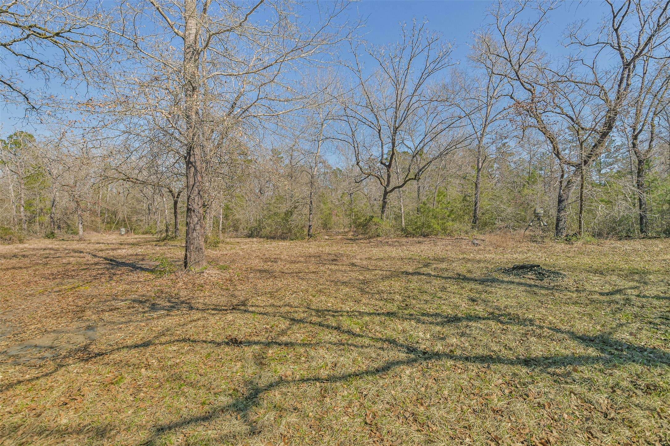 35 Old Sign Road Midway, TX 75852 - Photo 38 of 44