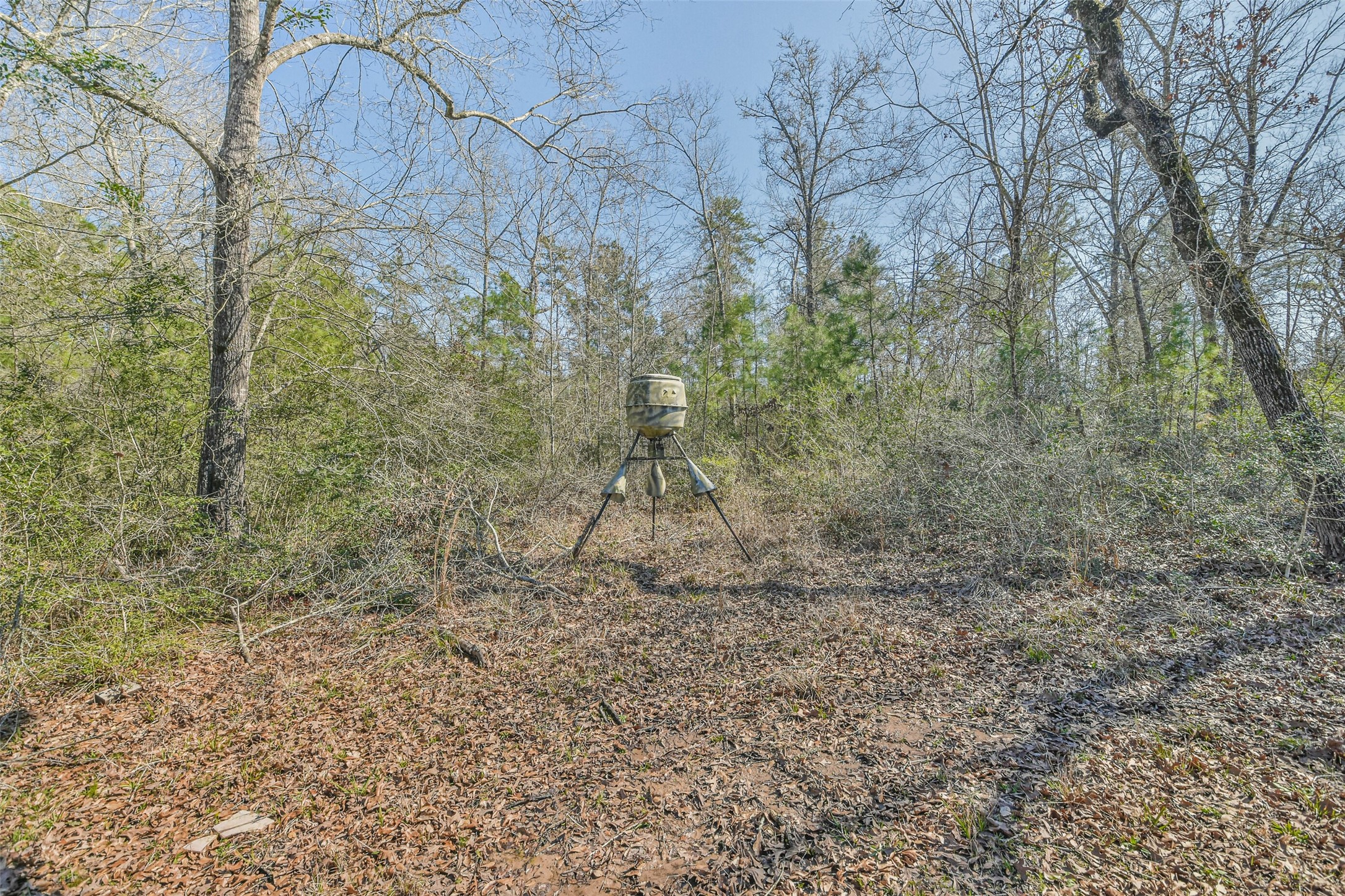 35 Old Sign Road Midway, TX 75852 - Photo 40 of 44