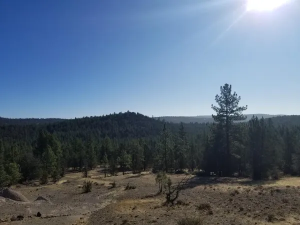 a view of outdoor space and city view