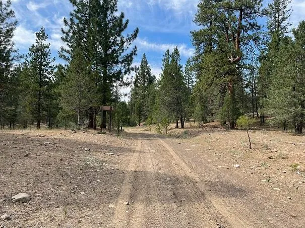 a view of empty space with trees