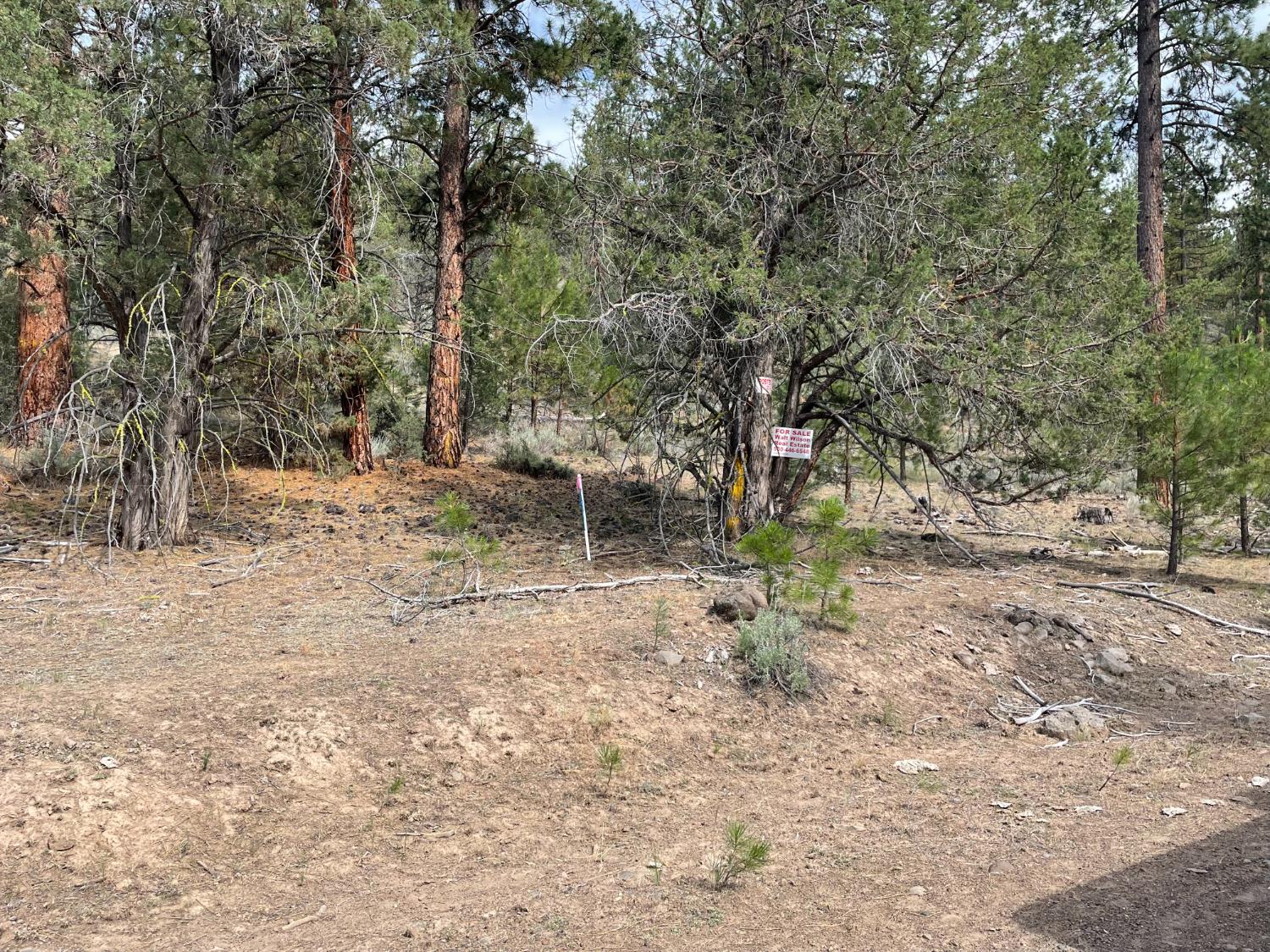 9999 Anderson Ranch Road Bieber, CA 96009 - Photo 5 of 13 a backyard of a house with lots of green space