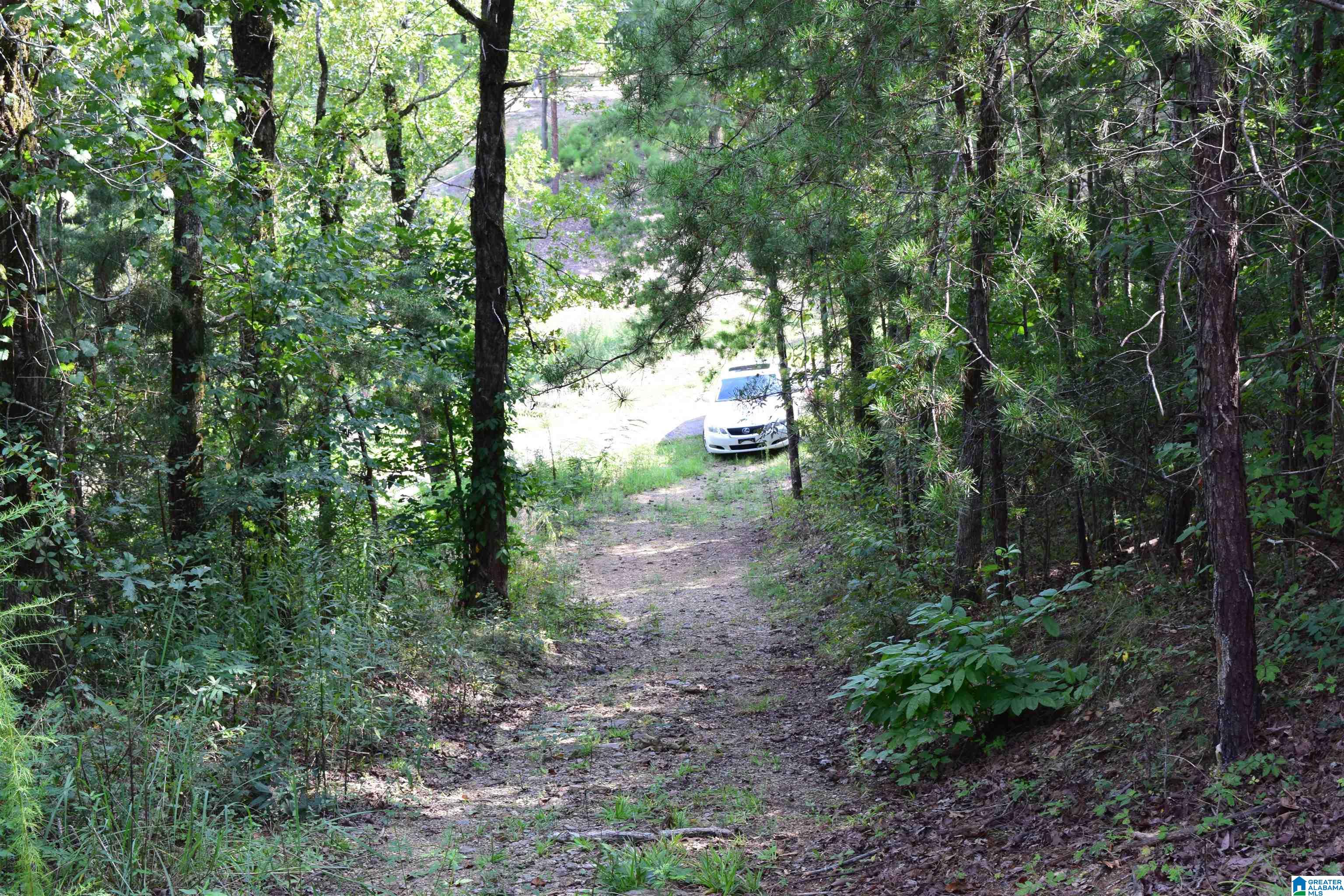 919 County Road Clanton, AL 35046 - Photo 6 of 8