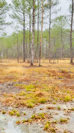 $90,000 | 312 Heaven Drive, St. Stephen, SC 29479
