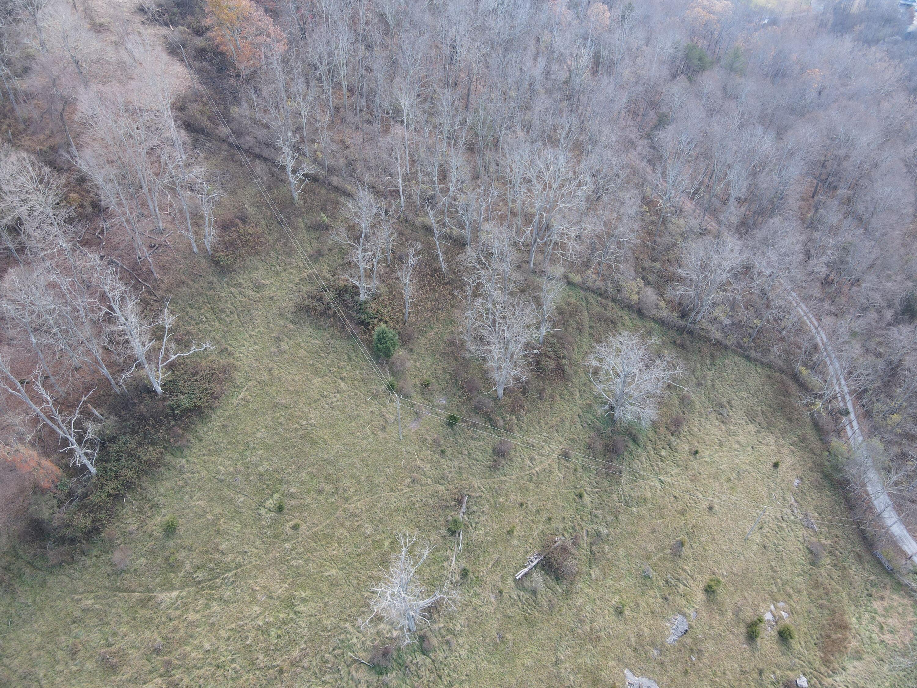 Toulee Ridges Lane Sinks Grove, WV 24976 - Photo 32 of 50 Gallery Image 32