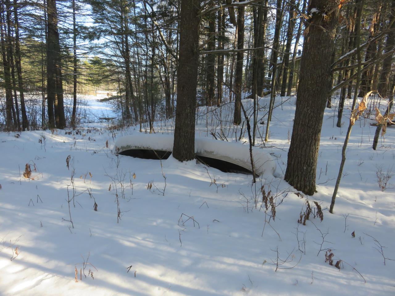 Off Marathon Road Manitowish Waters, WI 54545 - Photo 3 of 10 Gallery Image 3