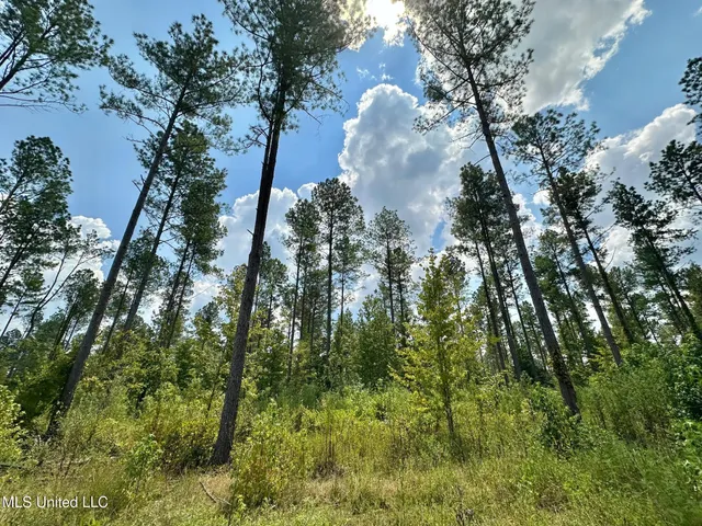 $365,000 | 2 Dry Grove Road, Terry, MS 39170