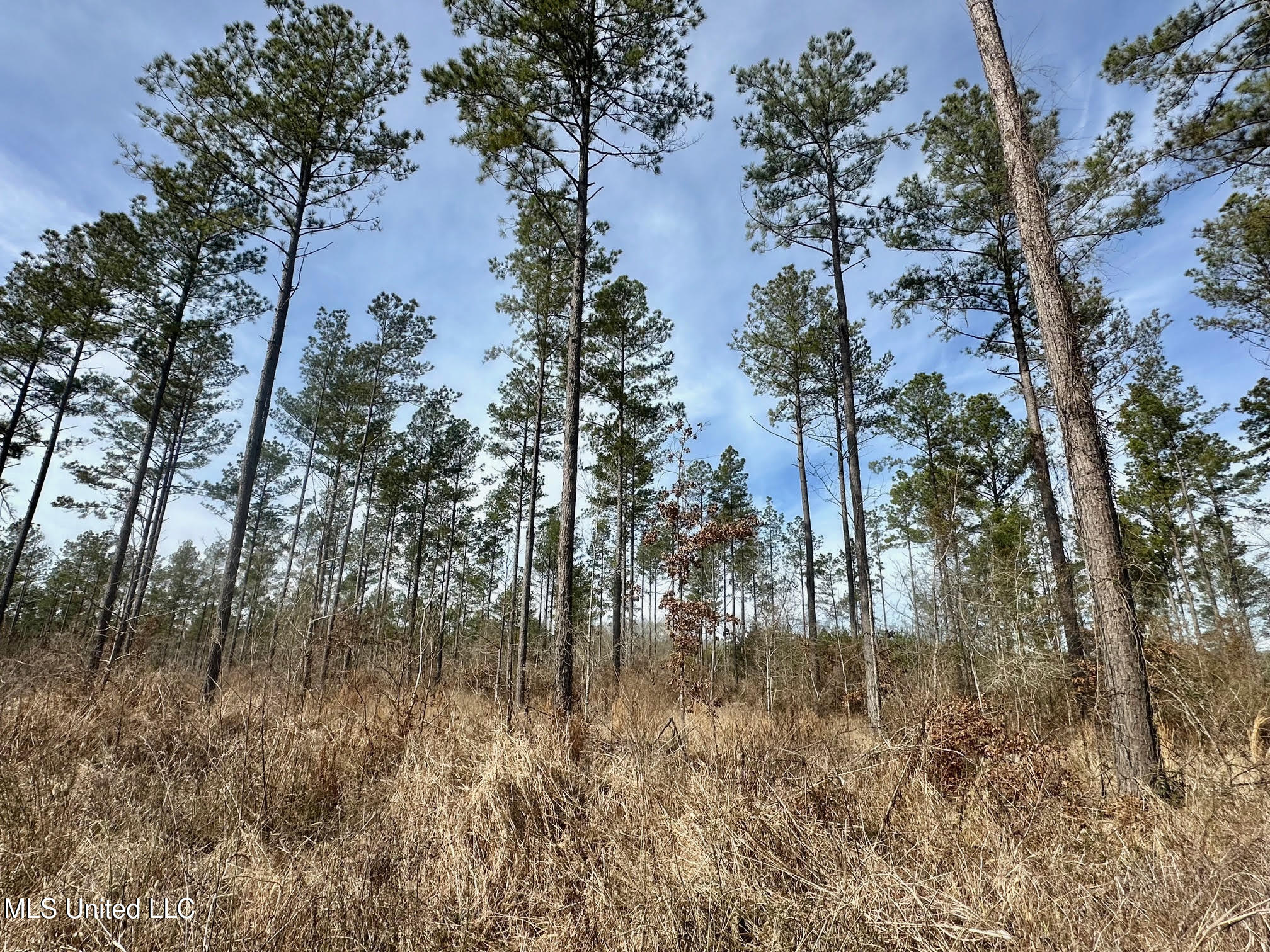 2 Dry Grove Road Terry, MS 39170 - Photo 7 of 24 502