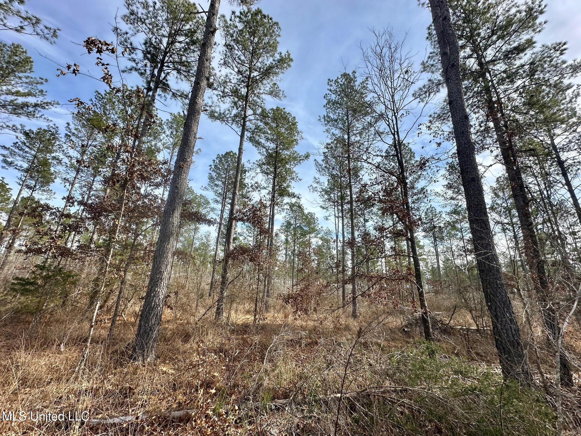 2 Dry Grove Road Terry, MS 39170 - Photo 8 of 24 504