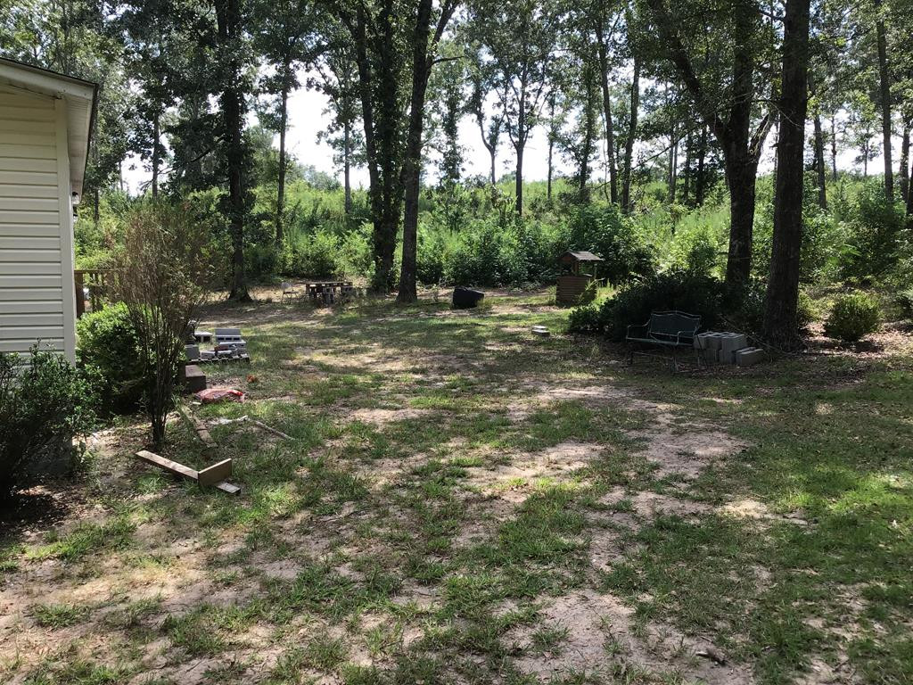 1100 Fox Young Road Wagener, SC 29164 - Photo 53 of 54