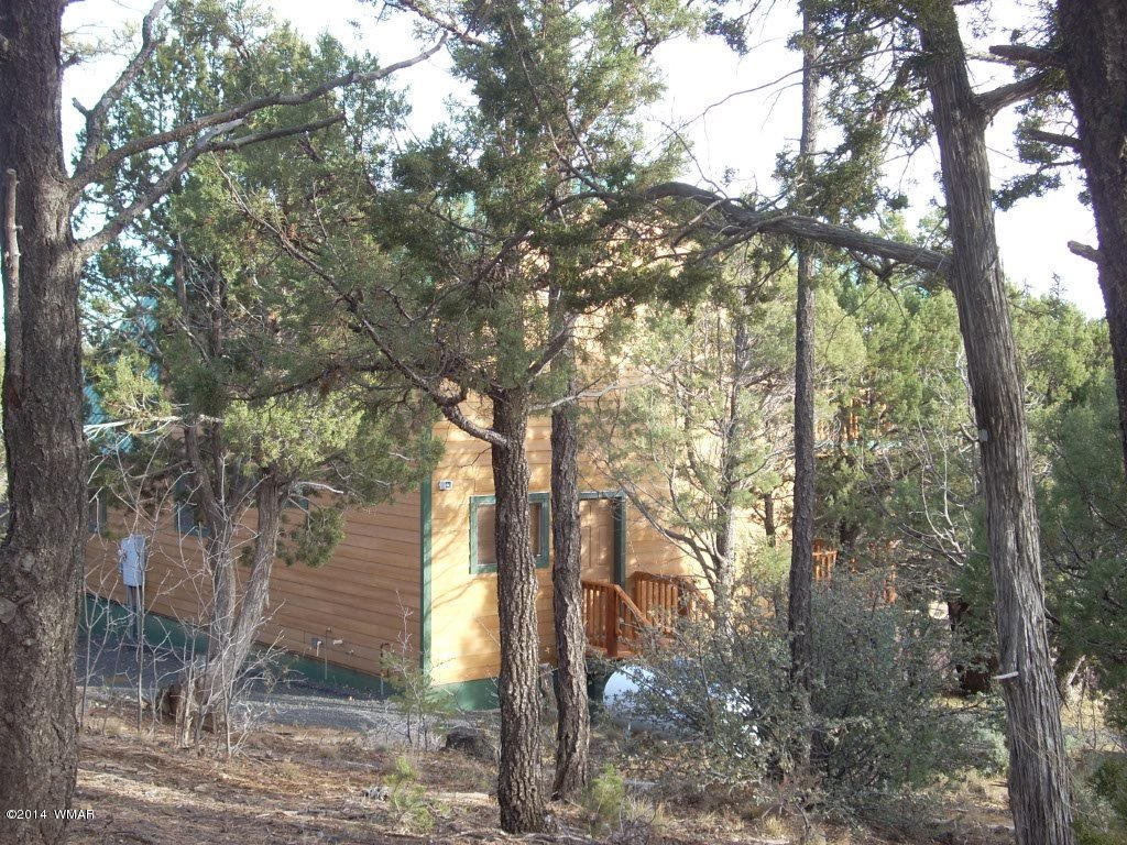 5138 Pinedale Wash Road Pinedale, AZ 85934 - Photo 13 of 47