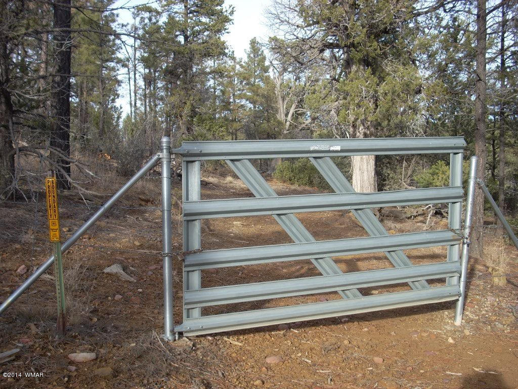 5138 Pinedale Wash Road Pinedale, AZ 85934 - Photo 19 of 47