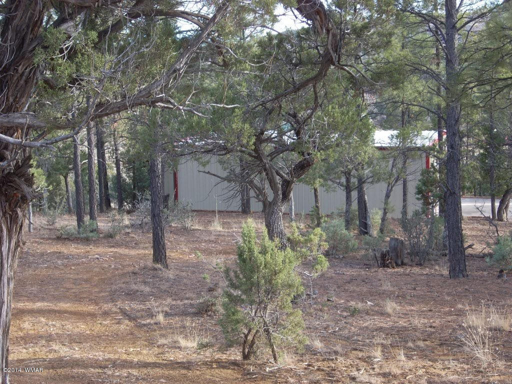 5138 Pinedale Wash Road Pinedale, AZ 85934 - Photo 21 of 47