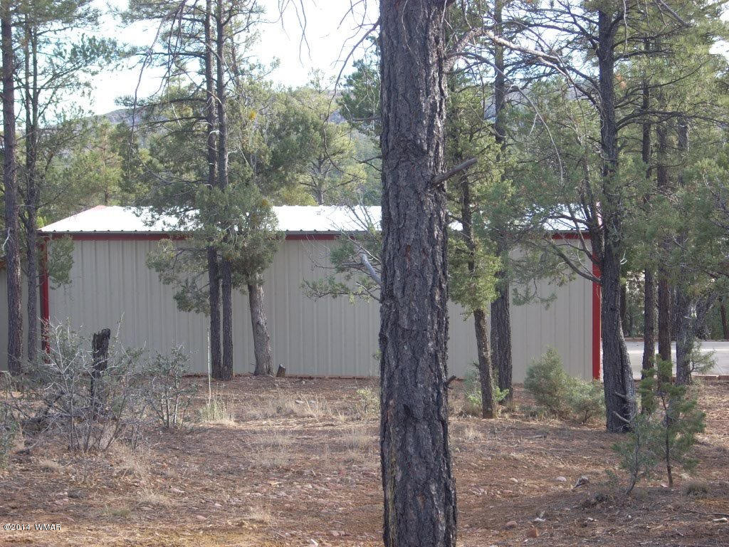 5138 Pinedale Wash Road Pinedale, AZ 85934 - Photo 22 of 47