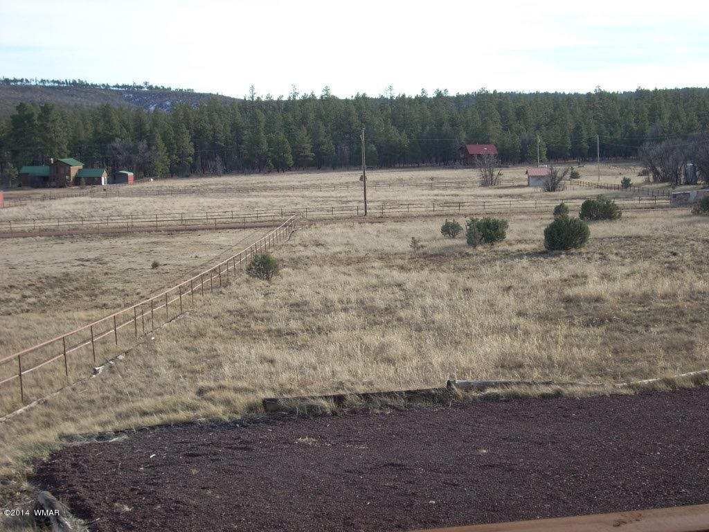 5138 Pinedale Wash Road Pinedale, AZ 85934 - Photo 45 of 47