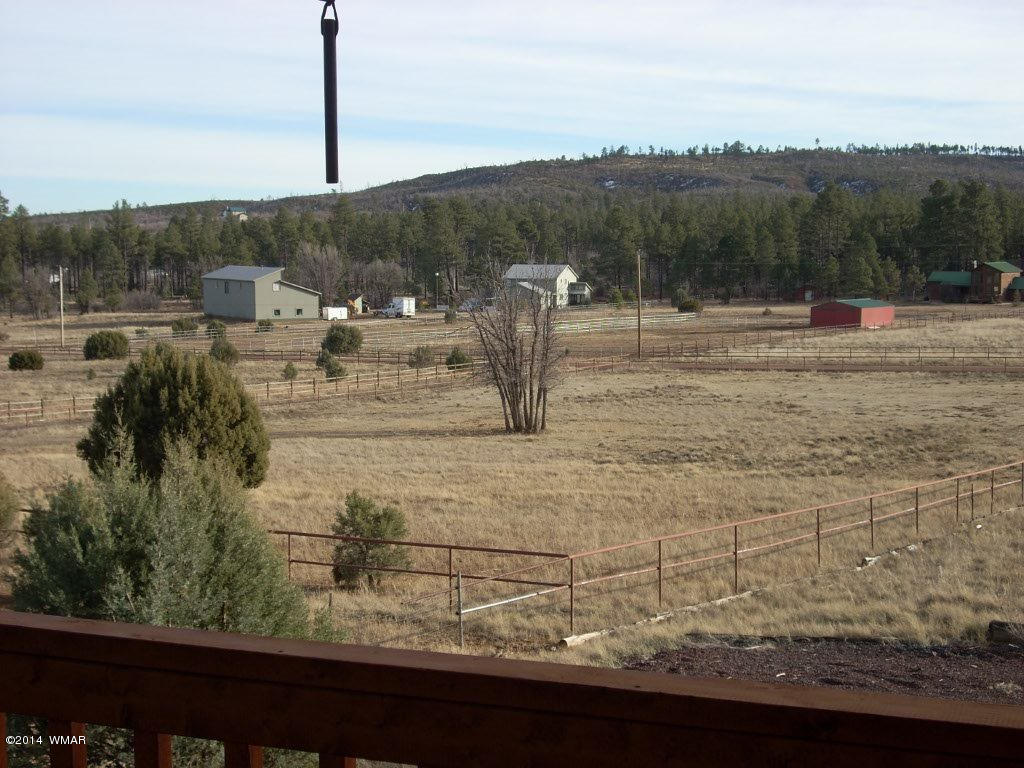 5138 Pinedale Wash Road Pinedale, AZ 85934 - Photo 46 of 47