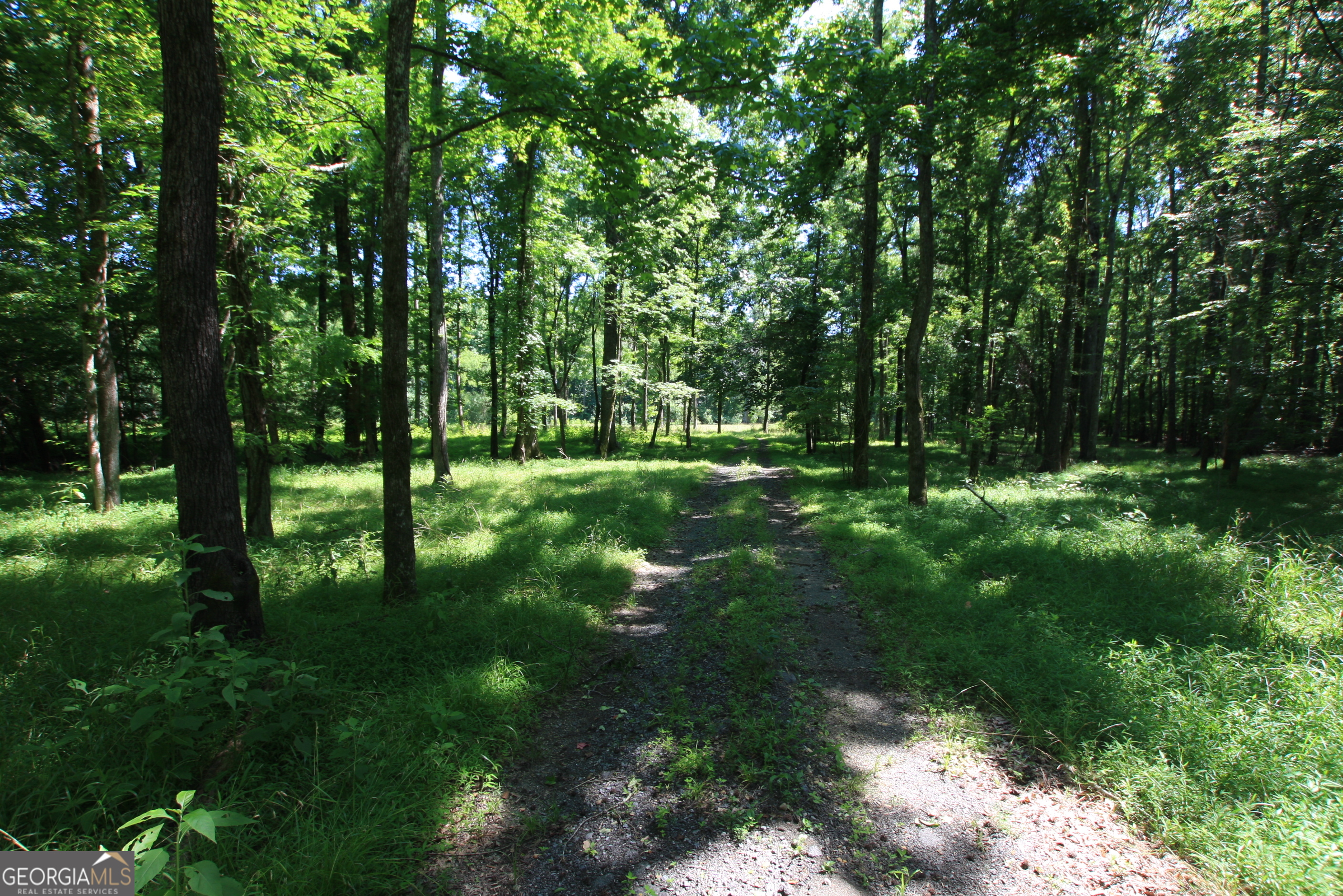 0 Mcgee Bend Road Rome, GA 30165 - Photo 15 of 33