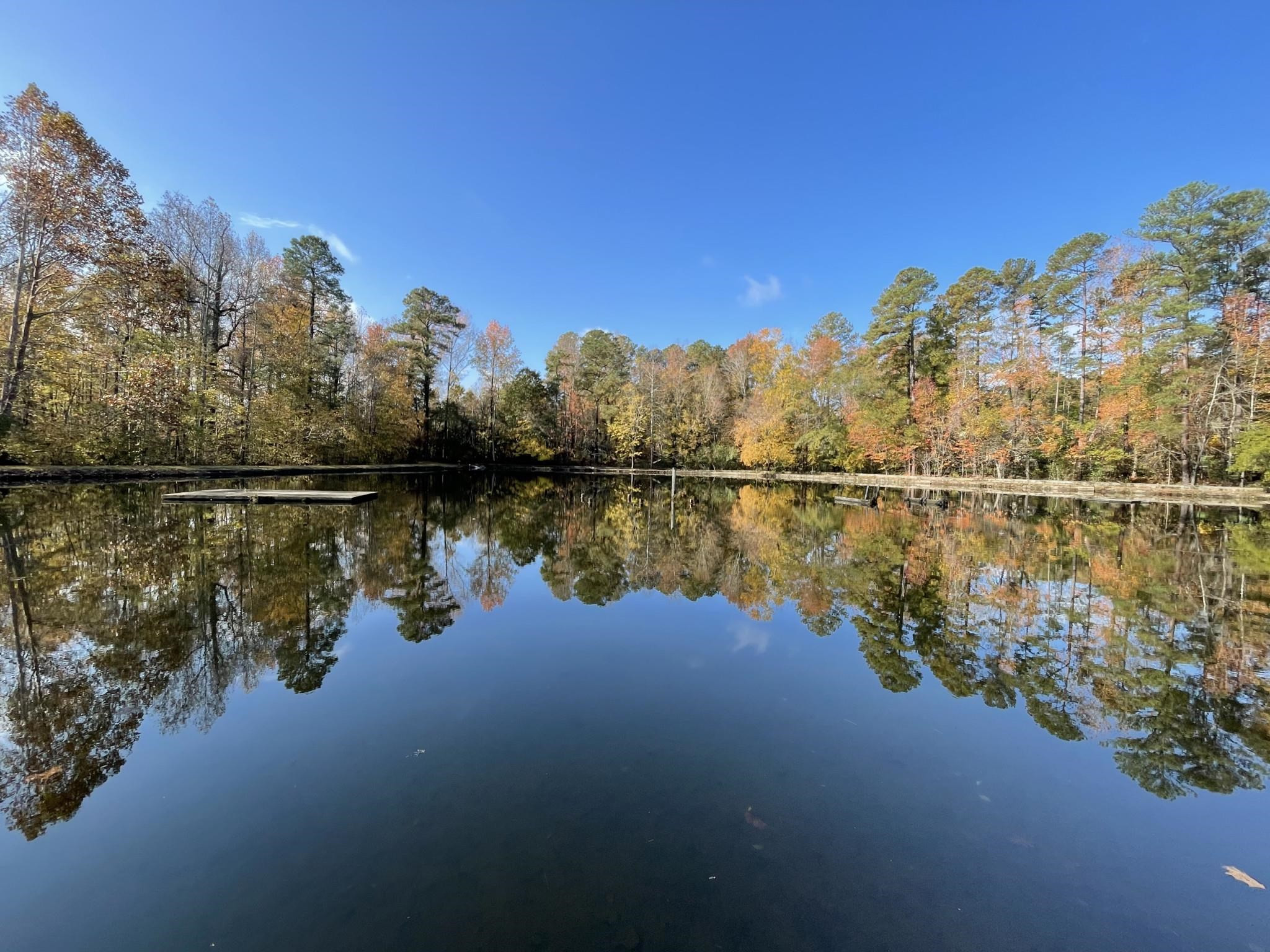 5100 Watkins Road Raleigh, NC 27616 - Photo 1 of 23 Photo 1
