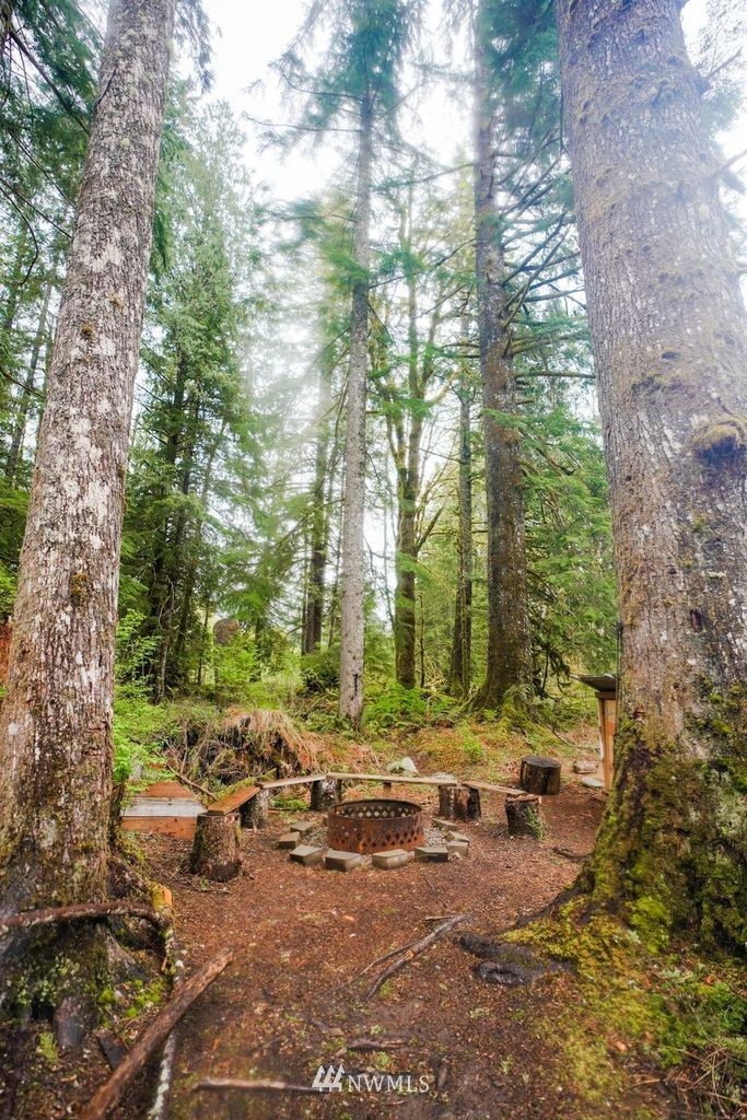 16128 Index-Galena Road Index, WA 98256 - Photo 20 of 35 a view of a yard with plants and trees