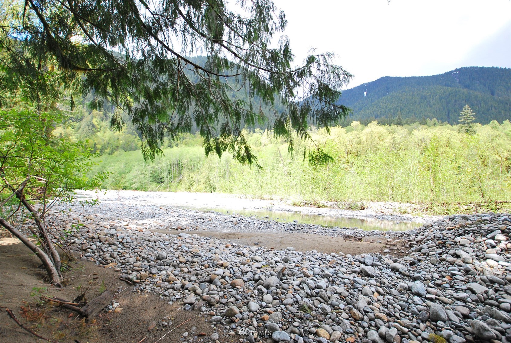 16128 Index-Galena Road Index, WA 98256 - Photo 29 of 35 a view of a yard with a tree
