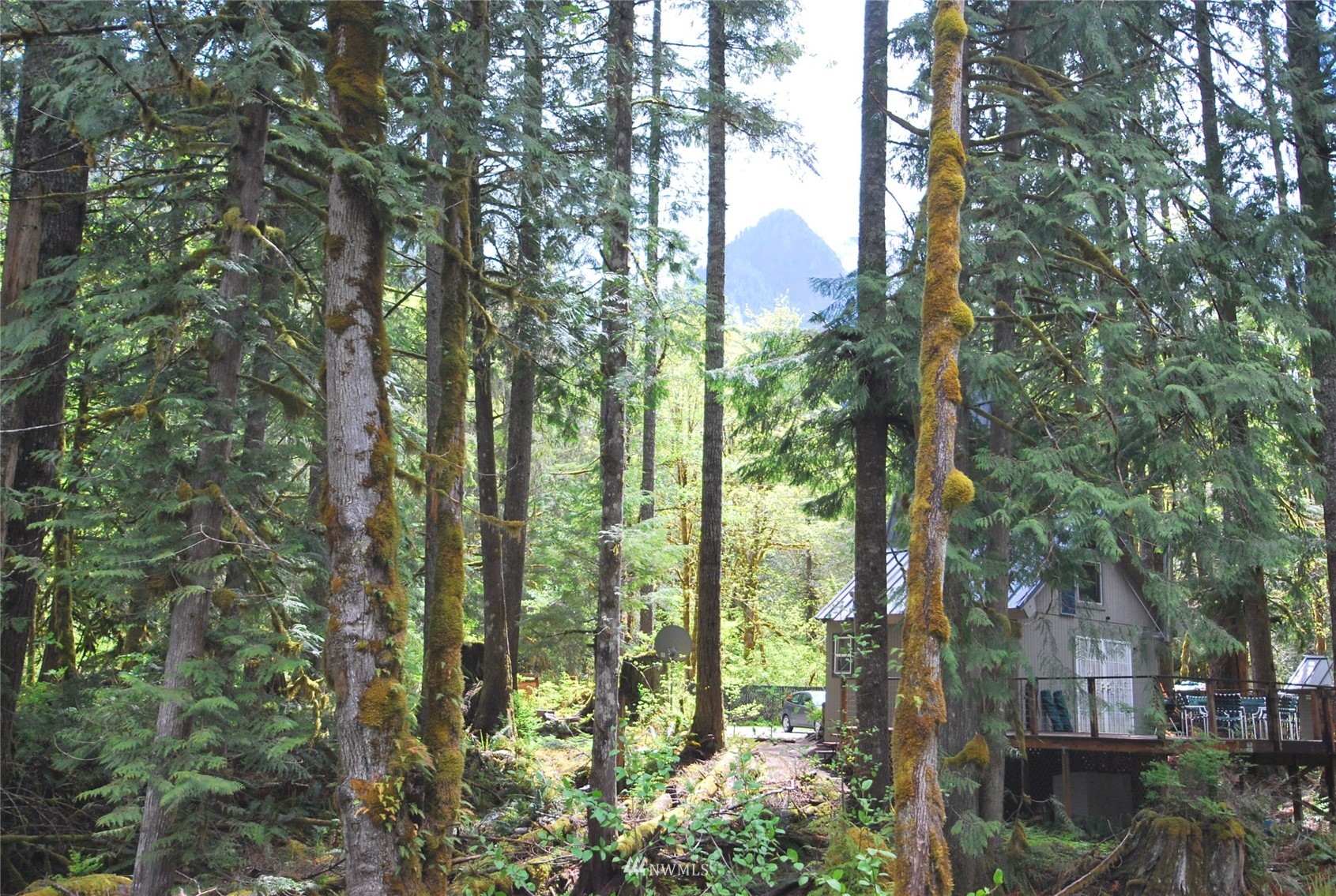 16128 Index-Galena Road Index, WA 98256 - Photo 31 of 35 a view of forest