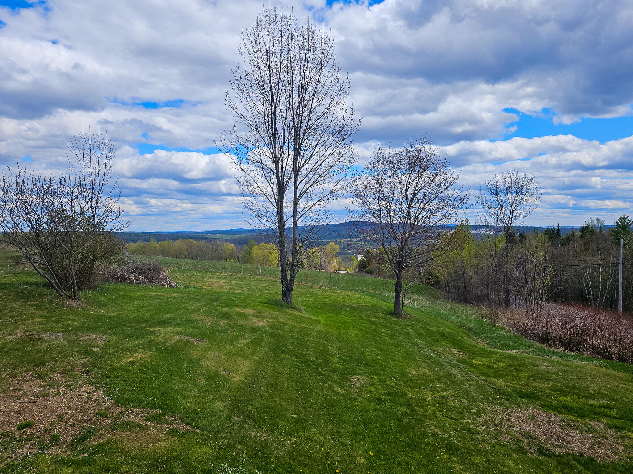 451 Morse Hill Road Jay, ME 04239 - Photo 10 of 79